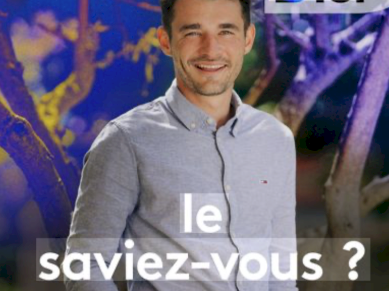 ICI VAUCLUSE, Le saviez vous ?