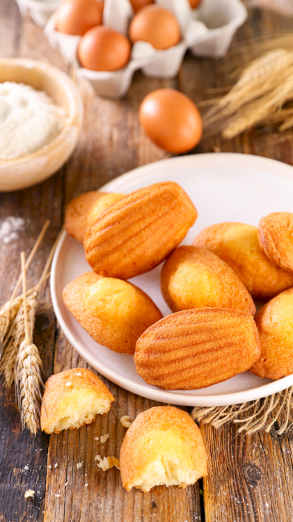 MADELEINE À LA LAVANDE OU VIOLETTE